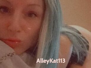 AlleyKat113