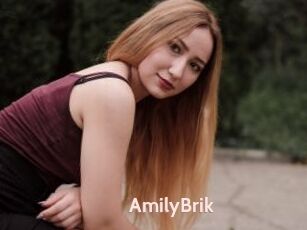 AmilyBrik