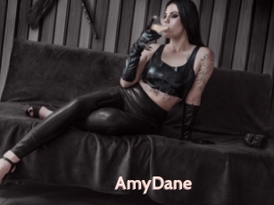 AmyDane