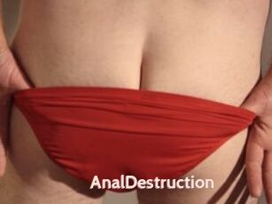 Anal_Destruction