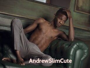 AndrewSlimCute