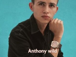 Anthony_wild