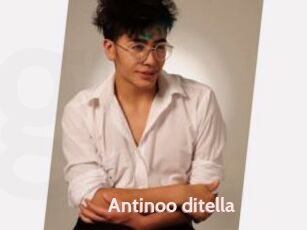 Antinoo_ditella