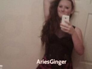 AriesGinger