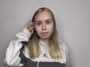 Accadavidge