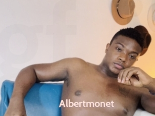 Albertmonet