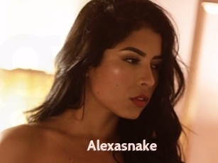 Alexasnake