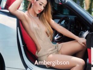 Ambergibson