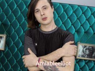 Amiableelliot