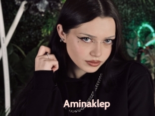 Aminaklep