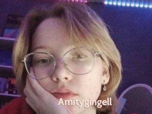 Amitygingell