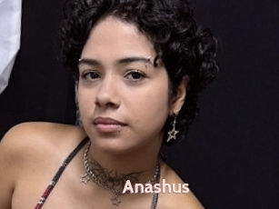 Anashus