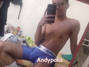 Andypolla