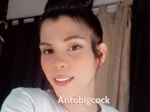 Antobigcock