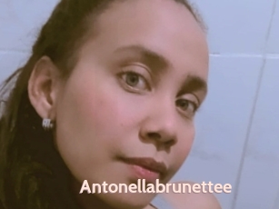 Antonellabrunettee