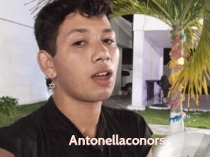 Antonellaconors