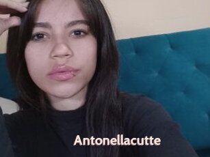 Antonellacutte