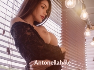 Antonellahale