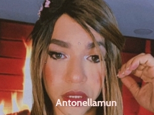 Antonellamun