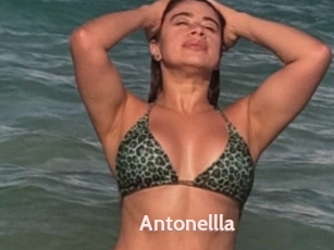 Antonellla