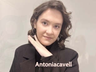 Antoniacavell