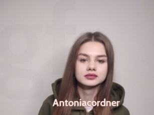 Antoniacordner