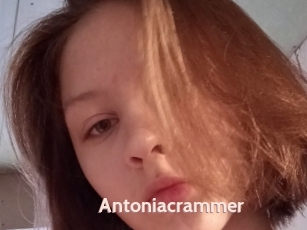 Antoniacrammer