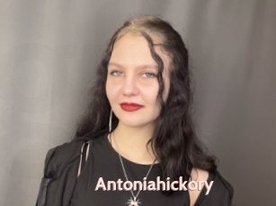 Antoniahickory