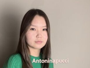 Antoninapucci