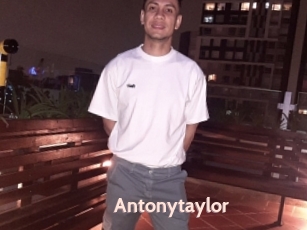 Antonytaylor