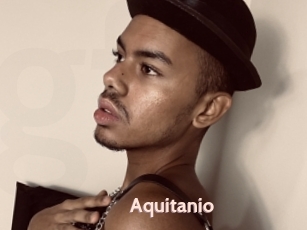 Aquitanio