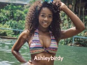 Ashleybirdy