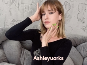 Ashleyuorks