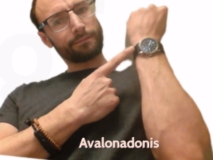 Avalonadonis