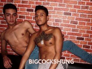 BIG_COCKS_HUNG