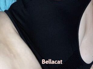 Bella_cat