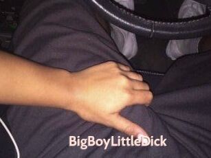 BigBoyLittleDick