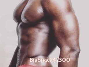 BigSnack42300