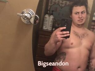 Bigseandon