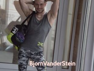 BjornVanderStein