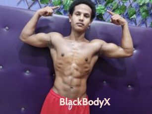 BlackBodyX