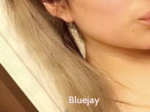 Blue_jay