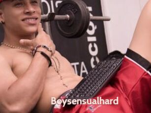 Boysensualhard