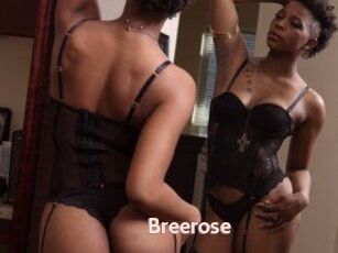 Breerose