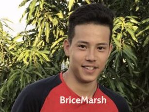 BriceMarsh