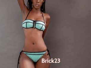 Brick23