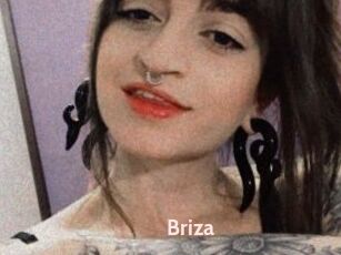 Briza