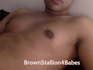 BrownStallion4Babes