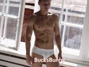 BucksBunny