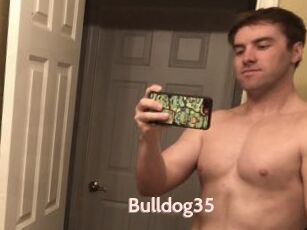 Bulldog35